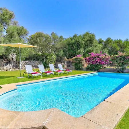 Olivo By 포엔샤 항구