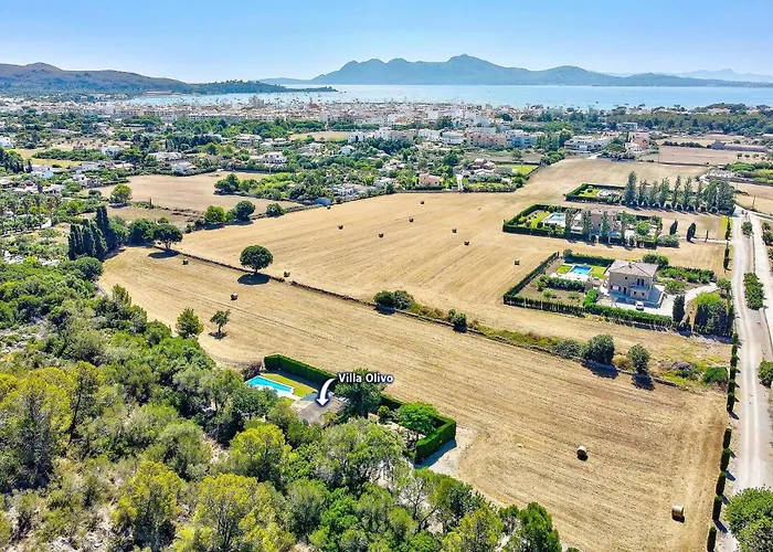 Olivo By Port de Pollença