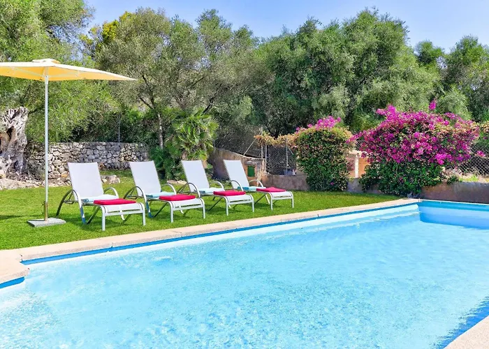 Olivo By * Port de Pollença