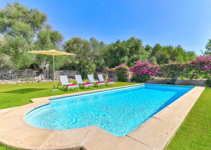 Olivo By Port de Pollença