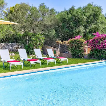 Olivo By * Port de Pollença