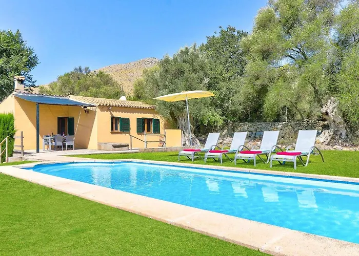 Olivo By Port de Pollença